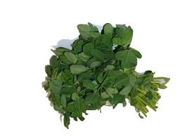 fenugreek